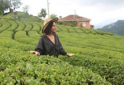 Rize’de 'çay turizmi' bereketi