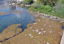 Seyhan Nehri, plastik, metal ve cam atıklarla çöplüğe döndü