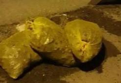 Boğazda kaçak midye avcılığı yapanlara ceza