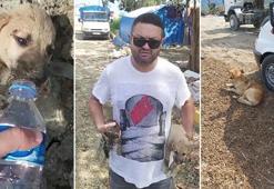 Can dostlarını sahilde aç-susuz buldu, CİMER'e başvurdu