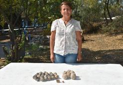 Ulucak Höyüğü, Ege'nin en eski tekstil üretim merkeziymiş