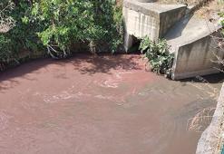 Ayamama deresi kırmızı renge büründü