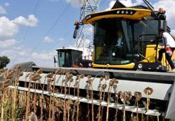 Vali Kırbıyık: Edirne'de ayçiçeği rekoltesi 300 bin ton üzerinde olacak