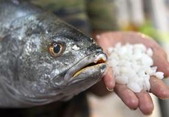 Balığın başındaki 'şifalı' olduğuna inanılan taşın kilosu, 1000 lira