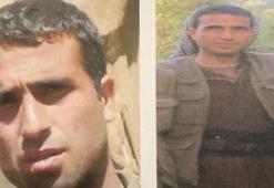 MİT, PKK'nın saldırı- sabotaj eğitimi sorumlusunu etkisiz hale getirdi