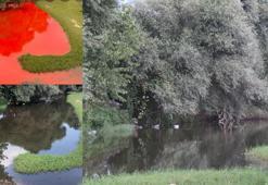 Kırmızı renge bürünen dere, temizlik sonrası eski haline döndü