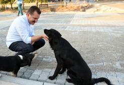 Balıkesir'de can dostlar için 'Pati Kart' uygulaması
