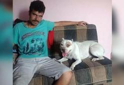 Elektrik direğinde akıma kapılıp öldü