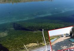 Sulama kanalında kaybolan kadının, yosunlara takılmış cansız bedeni bulundu