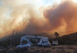 Mersin'de orman yangını