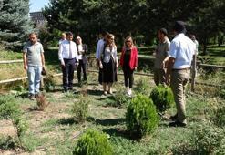 Yağmur hasadı ile kendi kendine yetebilen peyzaj alanı oluşturdular