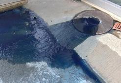 İSKİ'den 'Mavi su' açıklaması : Çok sayıda ponza taşı çıkartıldı