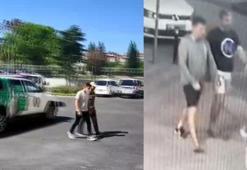 Zeytinburnu'nda sokak kedisini öldüren pitbullun sahibine 14 bin 982 lira ceza verildi