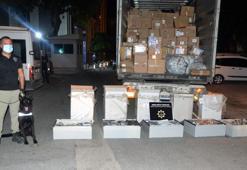 Kargo paketlerinden 56 kilo esrar çıktı