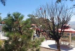 Cemevinin dilek ağacını yakan 2 kişiye gözaltı