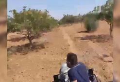 Fıstık bahçesindeki silahlı saldırı kamerada