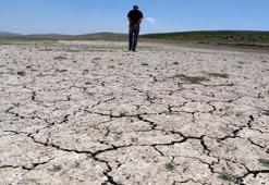 Prof. Dr. Alaeddinoğlu: Van Gölü havzası küresel iklim değişikliğinden daha çok etkilenecek