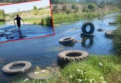 Atık lastiklerin bırakıldığı Karaçay Deresi'nde balık ölümleri