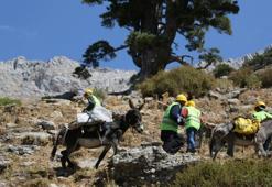 Torosların dağ köyündeki su çalışması için katır ve eşekler kiralandı