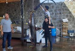 Gölcüklü balıkçı, 350 kiloluk camgöz köpek balığı yakaladı