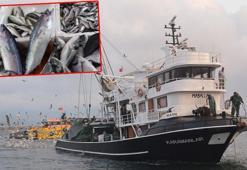 Prof. Dr. Sarı: Deniz bitti, rotayı değiştirmemiz lazım