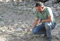 Karadeniz'de içme suyu kaynaklarının ardından dereler de kurumaya başladı