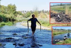 Karaçay Deresi'nde ölen balıklar oksijensiz kalmış