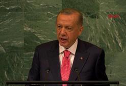 Erdoğan: Türkiye’nin dış politikadaki vizyonu daima barış odaklı olmuştur