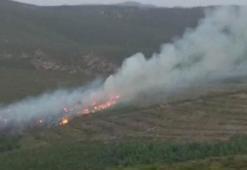 Torbalı’da makilik alanda çıkan yangın kontrol altına alındı