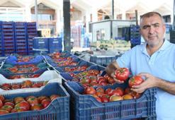 Örtü altı üretim düşünce Avrupalı Antalya'ya yöneldi