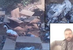 Para için flamingolara kıydılar