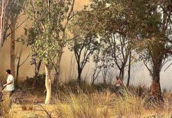 Antalya'da çay kenarındaki sazlık ve ağaçlıktaki yangın yeniden alevlendi