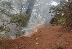 Amanoslar'da yıldırım düşmesiyle çıkan yangın söndürüldü
