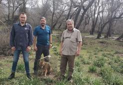 7 bin 784 yaban hayvanı, tedavi edilerek doğaya bırakıldı