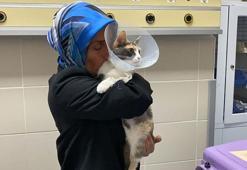 Yaralı kedisinin tedavisi için 1700 kilometre katetti