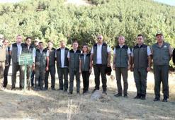 Palandöken'deki 40 yıllık ormanda gençleştirme çalışması yapılacak