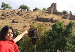 Roma döneminde yol kontrollerinin yapıldığı kale duvarları yok oluyor