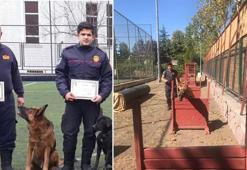 Ölen babasının yerine can kurtarmaya devam ediyor