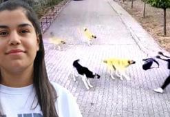 Liseli Rojda, köpeklerin saldırısından okul çantası ile kurtuldu