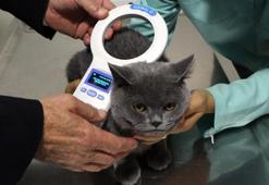 393 bin 771 ev hayvanı çiplendi