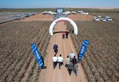 Hektaş, Dünya Pamuk Günü’nde iki milli tohumunu duyurdu