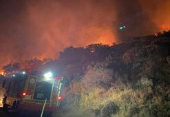 Bodrum'da makilik yangını; 5 dönüm zarar gördü