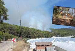 Antalya'da orman yangını