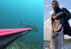 Zıpkınla 35 kiloluk akya balığı avladı