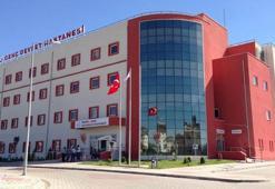 Ceviz toplarken ağaçtan düşerek öldü