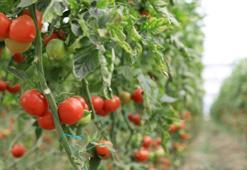 Batı Akdeniz ihracatında 2 milyar dolar sevinci