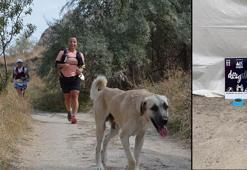 Ultra-Trail'de atletlere ‘can dostlar’ da eşlik etti