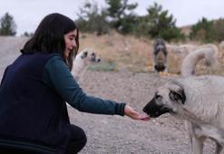 High school student feeds stray animals every day
