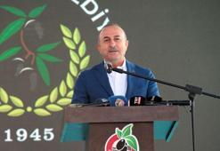 Çavuşoğlu: Ara buluculuk faaliyetlerimiz artık dünyada bir marka