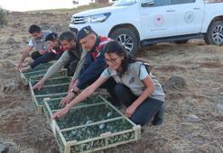 900 sakayı Suriye'ye kaçırmak isteyen şüpheliye rekor ceza